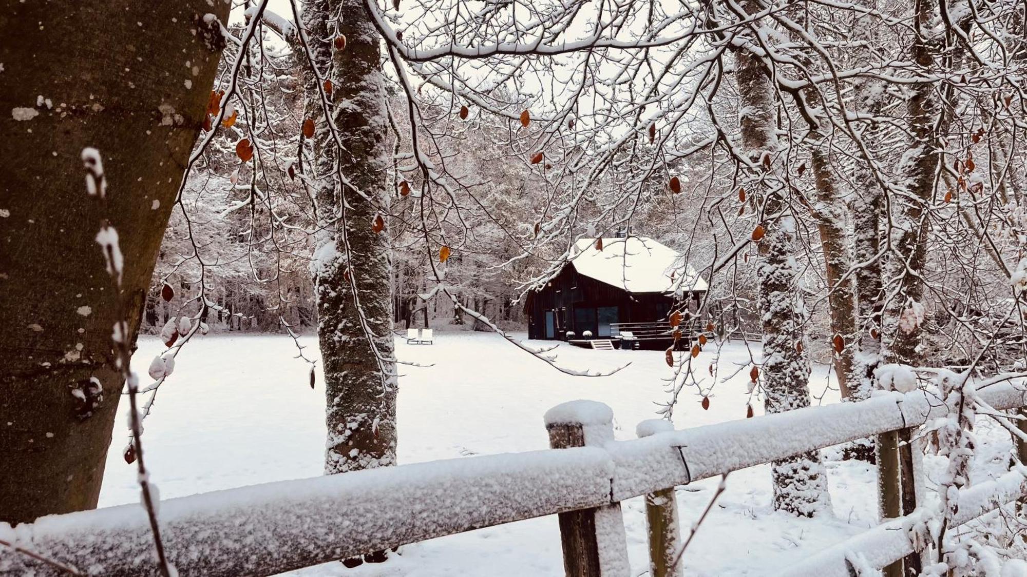 La Cabane D'Amae Marche-en-Famenne Exterior photo